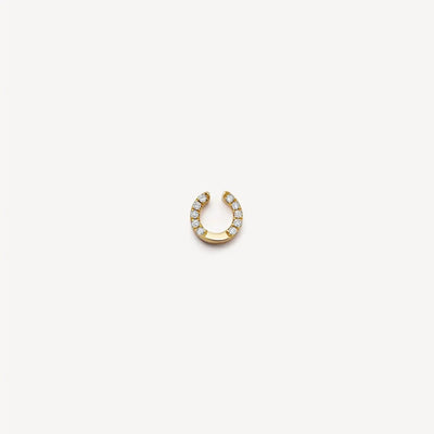 Lucky Horseshoe