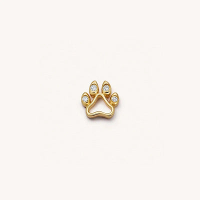 Dog Paw